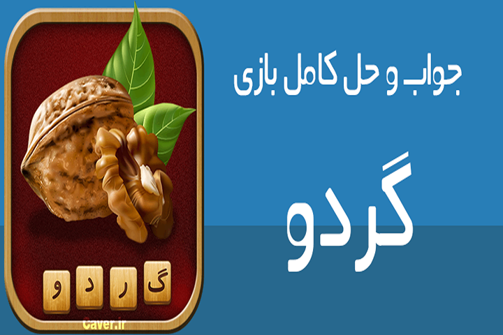 تصویر محیط بازی گردو
